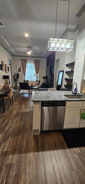 2br Luxury Apartment ATL (Buckhead)